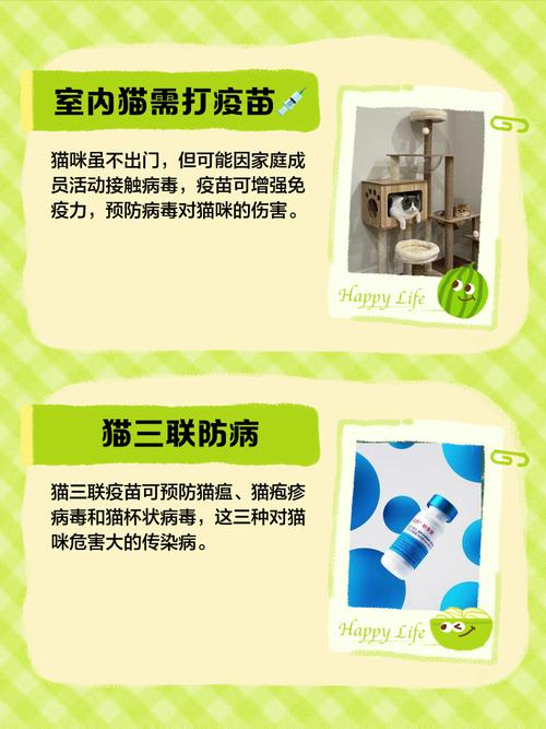 猫咪需要打哪些疫苗,猫咪须要打什么预苗-第5张图片-后鲨宠物 猫咪需要打哪些疫苗,猫咪须要打什么预苗-第5张图片-后鲨宠物