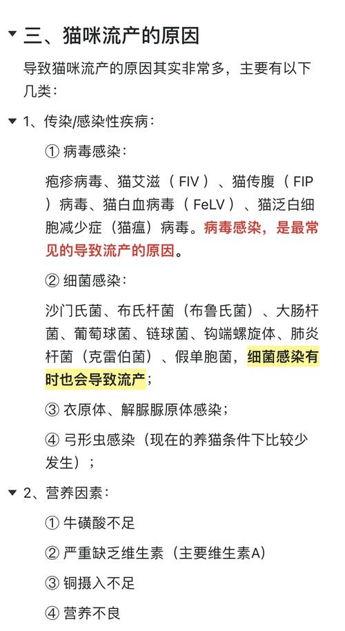猫咪流产了怎么办,猫咪流产有什么迹象-第4张图片-后鲨宠物 猫咪流产了怎么办,猫咪流产有什么迹象-第4张图片-后鲨宠物