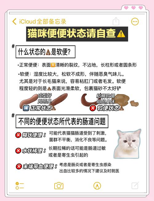 猫咪拉屎出血怎么回事_猫咪拉屎出血怎么回事吃什么药-第1张图片-后鲨宠物 猫咪拉屎出血怎么回事_猫咪拉屎出血怎么回事吃什么药-第1张图片-后鲨宠物
