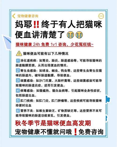 猫咪拉屎出血怎么回事_猫咪拉屎出血怎么回事吃什么药-第3张图片-后鲨宠物 猫咪拉屎出血怎么回事_猫咪拉屎出血怎么回事吃什么药-第3张图片-后鲨宠物