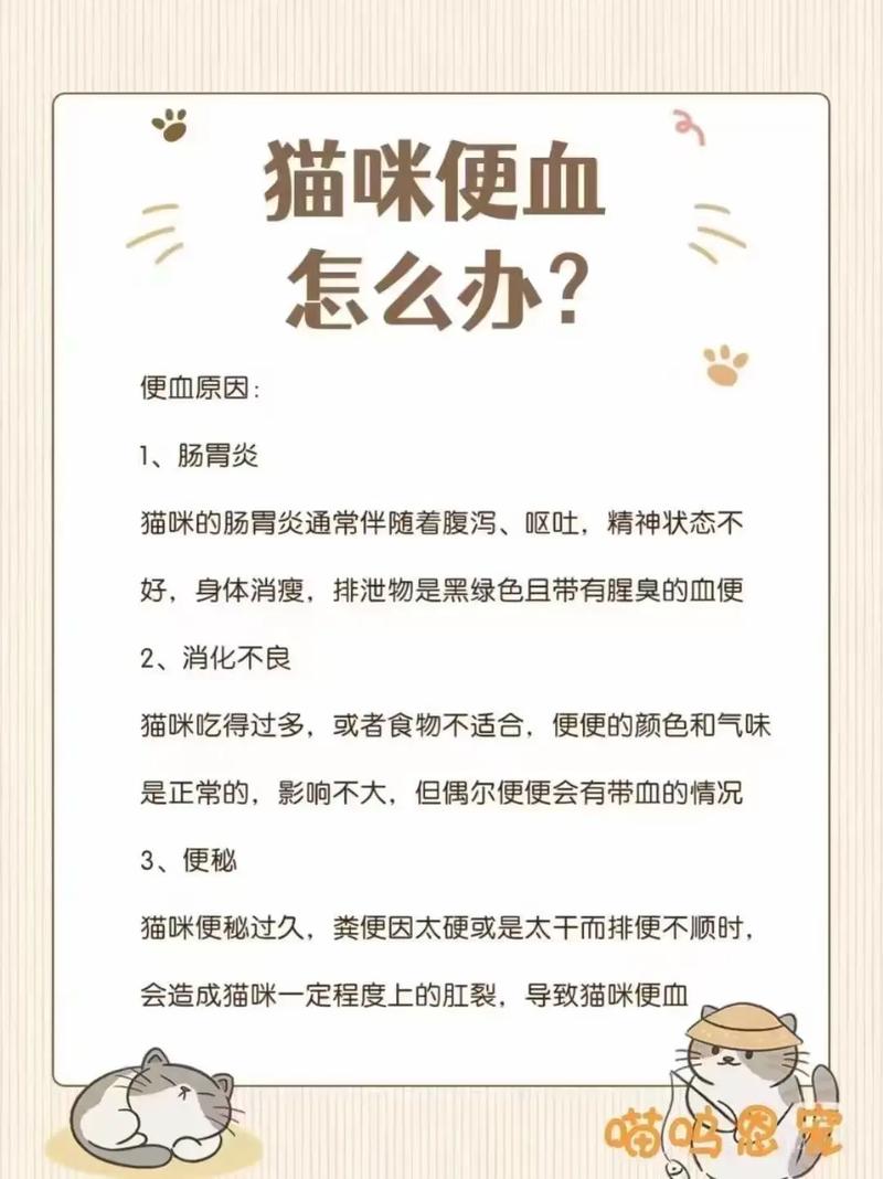猫咪拉屎出血怎么回事_猫咪拉屎出血怎么回事吃什么药-第5张图片-后鲨宠物 猫咪拉屎出血怎么回事_猫咪拉屎出血怎么回事吃什么药-第5张图片-后鲨宠物
