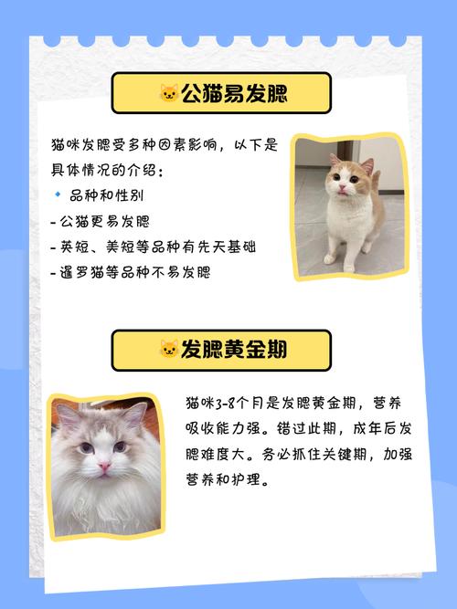 猫咪什么时候发腮,猫咪什么时候发腮 吃什么东西?-第4张图片-后鲨宠物 猫咪什么时候发腮,猫咪什么时候发腮 吃什么东西?-第4张图片-后鲨宠物