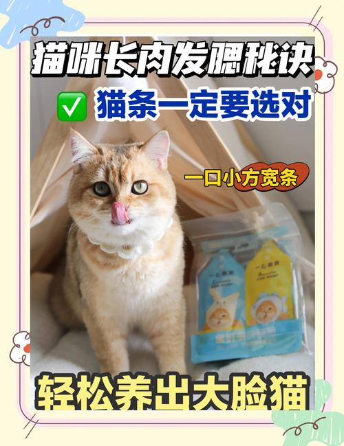 猫咪什么时候发腮,猫咪什么时候发腮 吃什么东西?-第6张图片-后鲨宠物 猫咪什么时候发腮,猫咪什么时候发腮 吃什么东西?-第6张图片-后鲨宠物
