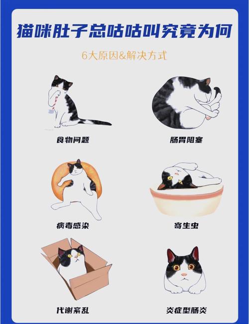 猫咪咕噜咕噜的原因,猫咪咕噜咕噜的原因是什么?-第1张图片-后鲨宠物 猫咪咕噜咕噜的原因,猫咪咕噜咕噜的原因是什么?-第1张图片-后鲨宠物