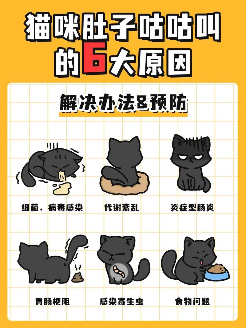猫咪咕噜咕噜的原因,猫咪咕噜咕噜的原因是什么?-第2张图片-后鲨宠物 猫咪咕噜咕噜的原因,猫咪咕噜咕噜的原因是什么?-第2张图片-后鲨宠物