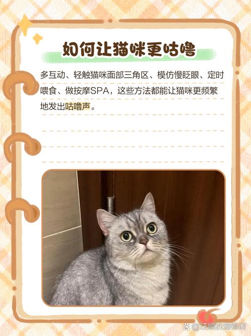 猫咪咕噜咕噜的原因,猫咪咕噜咕噜的原因是什么?-第4张图片-后鲨宠物 猫咪咕噜咕噜的原因,猫咪咕噜咕噜的原因是什么?-第4张图片-后鲨宠物