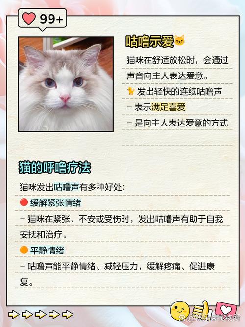 猫咪咕噜咕噜的原因,猫咪咕噜咕噜的原因是什么?-第5张图片-后鲨宠物 猫咪咕噜咕噜的原因,猫咪咕噜咕噜的原因是什么?-第5张图片-后鲨宠物