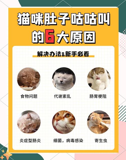 猫咪咕噜咕噜的原因,猫咪咕噜咕噜的原因是什么?-第6张图片-后鲨宠物 猫咪咕噜咕噜的原因,猫咪咕噜咕噜的原因是什么?-第6张图片-后鲨宠物