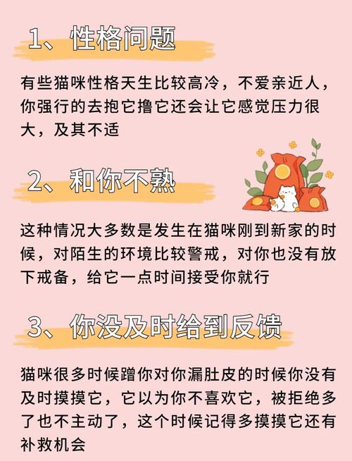 猫咪不喜欢被摸_猫咪不喜欢摸它-第5张图片-后鲨宠物