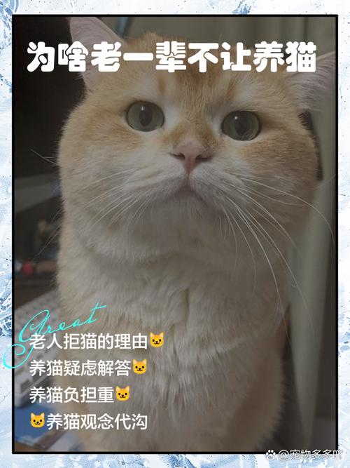 猫咪不喜欢被摸_猫咪不喜欢摸它-第6张图片-后鲨宠物