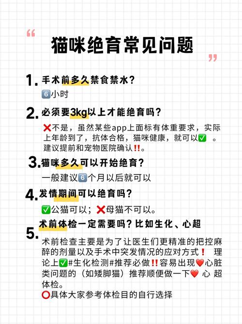 猫咪绝育前后注意事项，猫咪绝育前有什么准备？-第4张图片-后鲨宠物