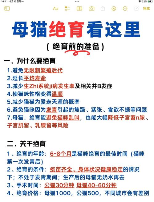 猫咪绝育前后注意事项，猫咪绝育前有什么准备？-第5张图片-后鲨宠物
