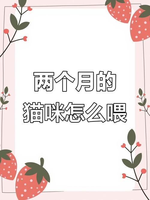 两个月大猫咪吃什么,两个月猫咪吃什么零食?-第4张图片-后鲨宠物 两个月大猫咪吃什么,两个月猫咪吃什么零食?-第4张图片-后鲨宠物