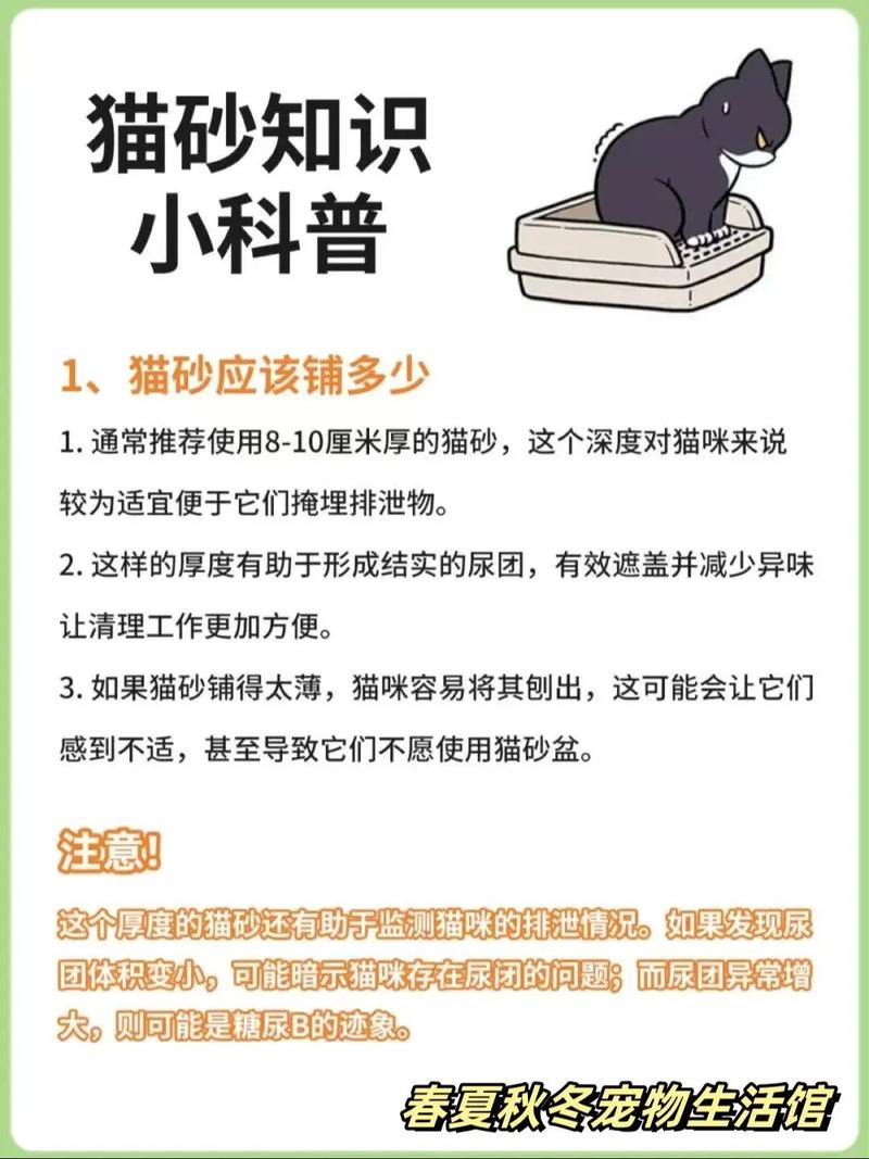 猫咪不会用猫砂怎么办,猫咪一直不会用猫砂?-第4张图片-后鲨宠物 猫咪不会用猫砂怎么办,猫咪一直不会用猫砂?-第4张图片-后鲨宠物