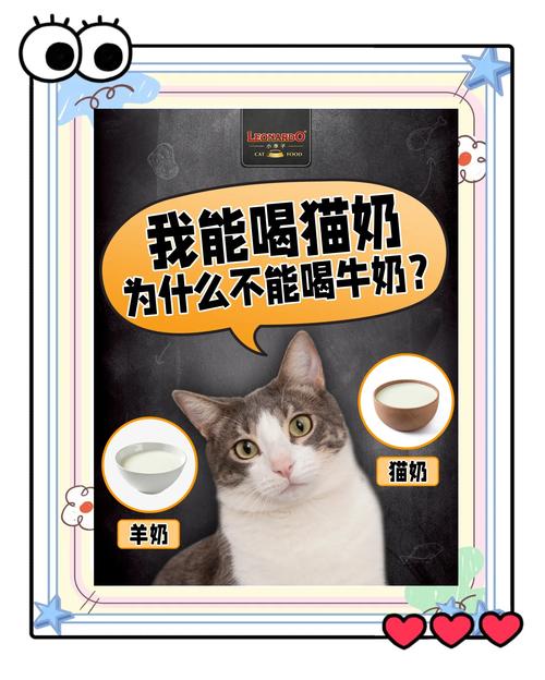 猫咪能吃牛奶吗，猫能吃牛奶?？-第2张图片-后鲨宠物