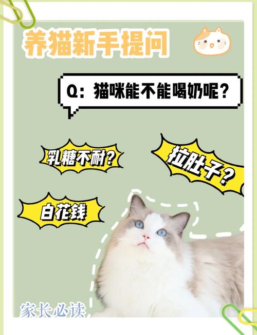 猫咪能吃牛奶吗，猫能吃牛奶?？-第4张图片-后鲨宠物