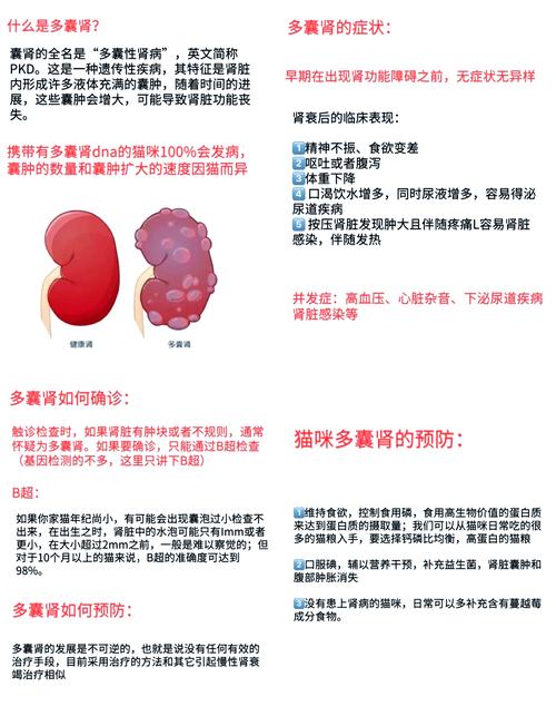  猫咪多囊肾可以活多久，猫咪多囊肾有奇迹吗-第1张图片-后鲨宠物