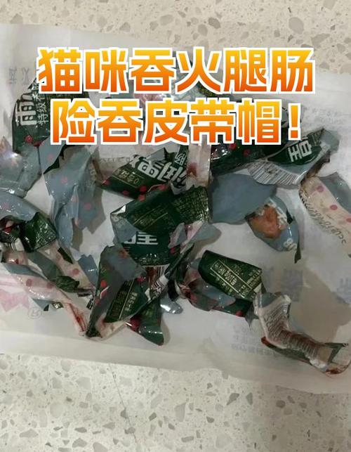 猫咪吃了火腿肠怎么办,猫吃了一点火腿肠,有事吗?-第1张图片-后鲨宠物 猫咪吃了火腿肠怎么办,猫吃了一点火腿肠,有事吗?-第1张图片-后鲨宠物