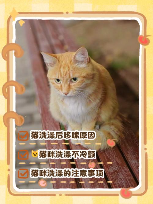 猫咪洗完澡发抖_猫咪洗完澡发抖是怎么回事-第2张图片-后鲨宠物 猫咪洗完澡发抖_猫咪洗完澡发抖是怎么回事-第2张图片-后鲨宠物