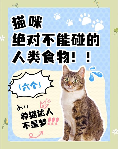 猫咪可以吃甜食吗_猫咪可以吃甜食吗,猫到底能不能吃糖-第4张图片-后鲨宠物 猫咪可以吃甜食吗_猫咪可以吃甜食吗,猫到底能不能吃糖-第4张图片-后鲨宠物