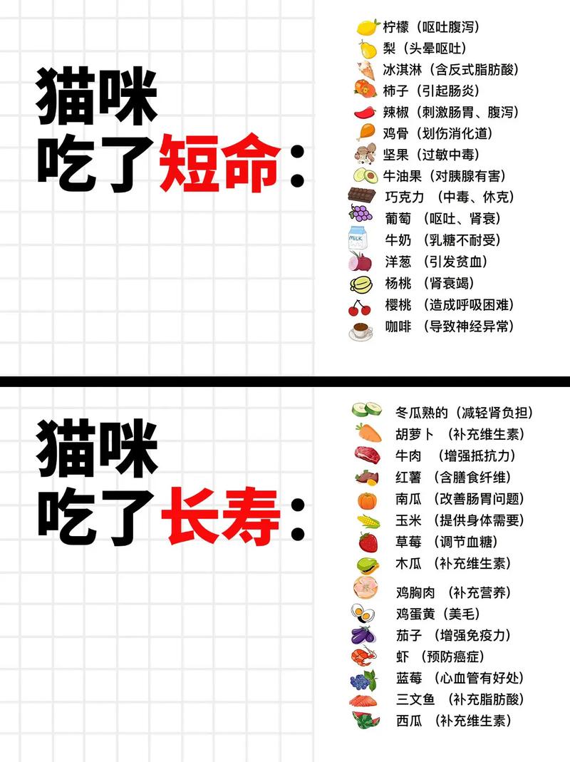 猫咪可以吃甜食吗_猫咪可以吃甜食吗,猫到底能不能吃糖-第5张图片-后鲨宠物 猫咪可以吃甜食吗_猫咪可以吃甜食吗,猫到底能不能吃糖-第5张图片-后鲨宠物