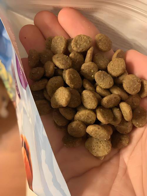 金霉素眼膏猫咪能用吗,金霉素软膏可以给猫咪涂眼睛里面吗-第1张图片-后鲨宠物 金霉素眼膏猫咪能用吗,金霉素软膏可以给猫咪涂眼睛里面吗-第1张图片-后鲨宠物