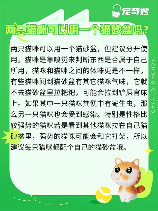 猫砂狗狗能用吗,猫砂盆狗狗能用吗-第5张图片-后鲨宠物 猫砂狗狗能用吗,猫砂盆狗狗能用吗-第5张图片-后鲨宠物