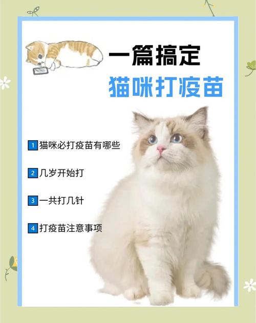 猫猫什么时候打疫苗，猫猫什么时候打疫苗比较好？