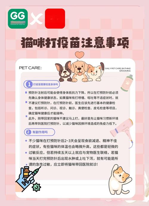 猫猫什么时候打疫苗，猫猫什么时候打疫苗比较好？-第2张图片-后鲨宠物