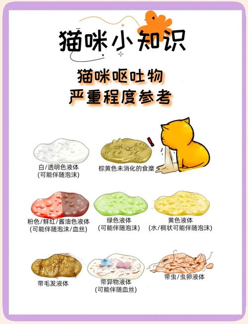 猫咪干呕怎么回事,猫咪干呕怎么回事没精神?-第4张图片-后鲨宠物 猫咪干呕怎么回事,猫咪干呕怎么回事没精神?-第4张图片-后鲨宠物