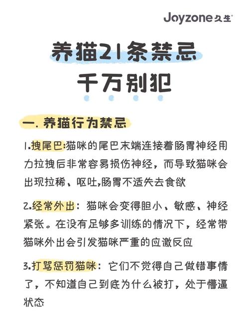 猫猫能活多少年_猫能活多少几年-第4张图片-后鲨宠物 猫猫能活多少年_猫能活多少几年-第4张图片-后鲨宠物