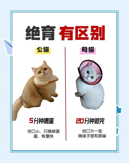 猫咪绝育怎么做，猫咪绝育做早了有什么问题？