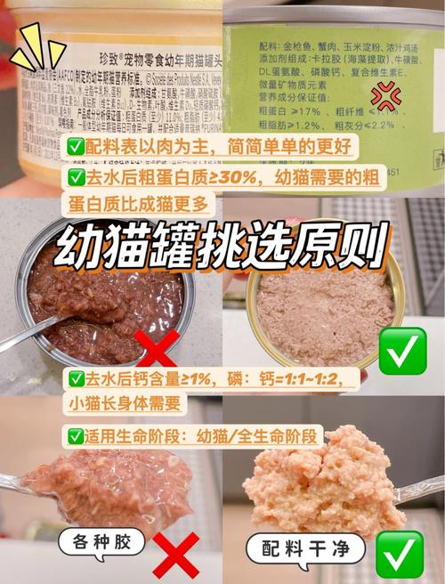 猫咪几个月可以吃罐头,猫咪几个月可以吃罐头和冻干?-第3张图片-后鲨宠物 猫咪几个月可以吃罐头,猫咪几个月可以吃罐头和冻干?-第3张图片-后鲨宠物