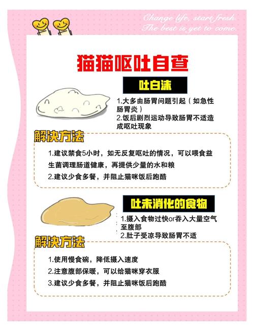 猫咪肠胃不好怎么办_猫咪肠胃不好怎么办?-第1张图片-后鲨宠物 猫咪肠胃不好怎么办_猫咪肠胃不好怎么办?-第1张图片-后鲨宠物