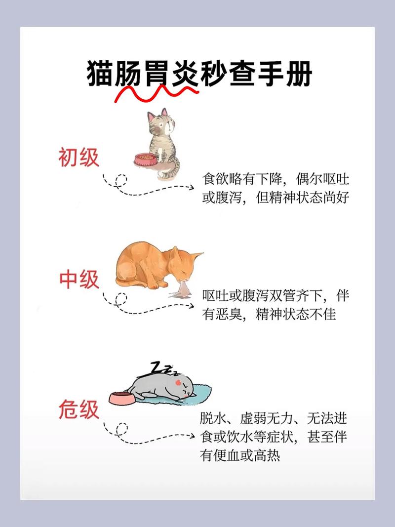 猫咪肠胃不好怎么办_猫咪肠胃不好怎么办?-第2张图片-后鲨宠物 猫咪肠胃不好怎么办_猫咪肠胃不好怎么办?-第2张图片-后鲨宠物