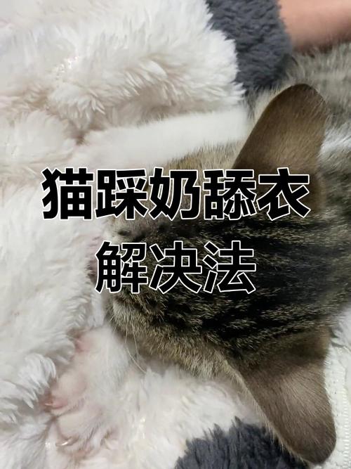 猫猫为什么会踩奶_成年猫猫为什么会踩奶