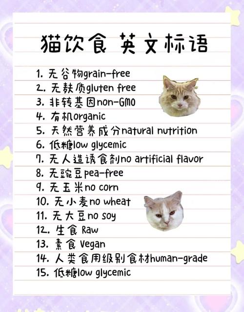 猫咪的英文名字大全,猫咪的英文名字好听的简单的?-第3张图片-后鲨宠物 猫咪的英文名字大全,猫咪的英文名字好听的简单的?-第3张图片-后鲨宠物