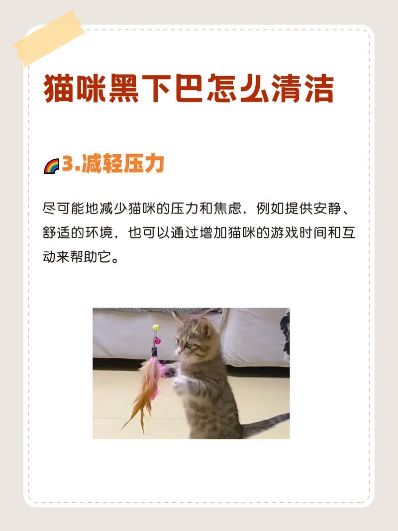 猫咪黑下巴严重,猫黑下巴最便宜有效的方法-第4张图片-后鲨宠物 猫咪黑下巴严重,猫黑下巴最便宜有效的方法-第4张图片-后鲨宠物