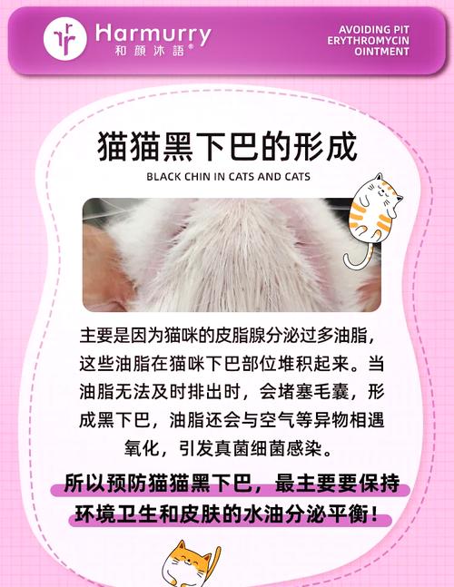 猫咪黑下巴严重,猫黑下巴最便宜有效的方法-第5张图片-后鲨宠物 猫咪黑下巴严重,猫黑下巴最便宜有效的方法-第5张图片-后鲨宠物