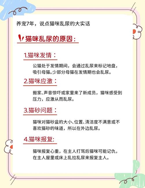 猫咪乱尿尿怎么办_猫咪乱尿该怎么办-第2张图片-后鲨宠物 猫咪乱尿尿怎么办_猫咪乱尿该怎么办-第2张图片-后鲨宠物