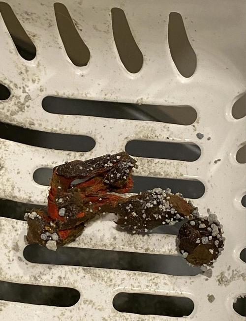 猫咪一天不拉屎怎么办,猫咪一天不拉屎会怎么样?-第1张图片-后鲨宠物 猫咪一天不拉屎怎么办,猫咪一天不拉屎会怎么样?-第1张图片-后鲨宠物