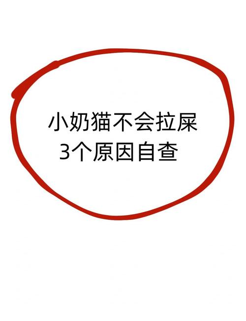 猫咪一天不拉屎怎么办,猫咪一天不拉屎会怎么样?-第4张图片-后鲨宠物 猫咪一天不拉屎怎么办,猫咪一天不拉屎会怎么样?-第4张图片-后鲨宠物