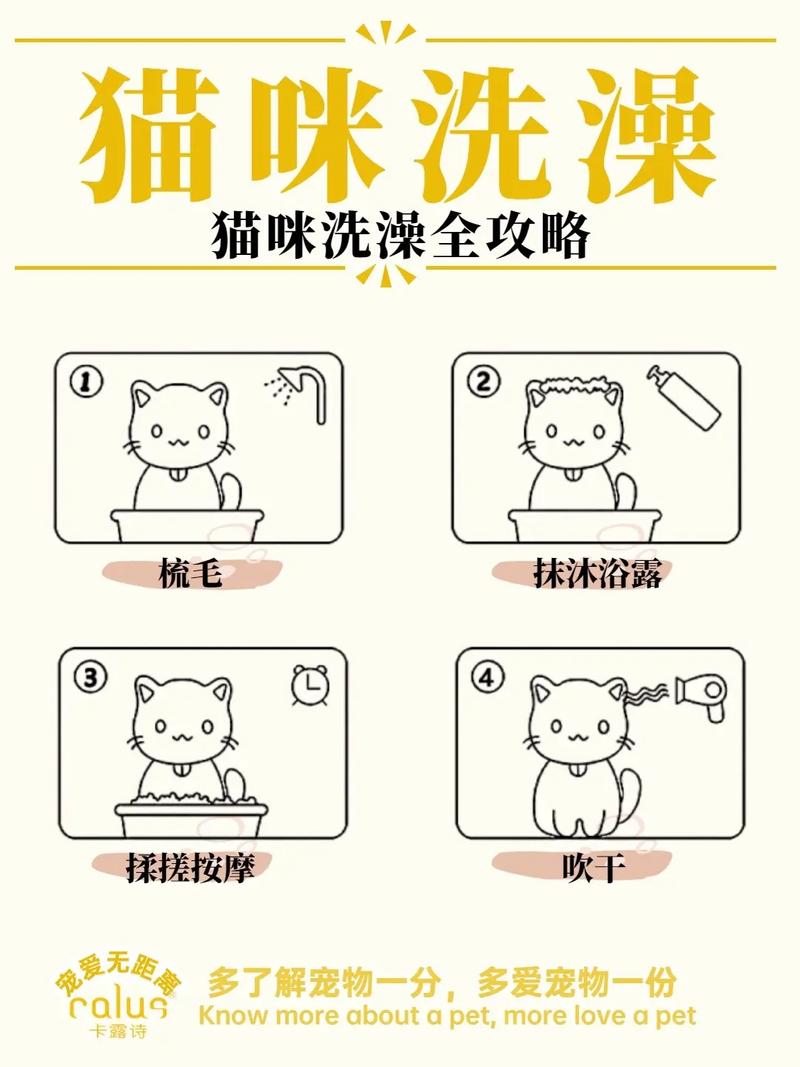 猫咪几个月可以洗澡_猫咪几个月洗澡最合适-第1张图片-后鲨宠物 猫咪几个月可以洗澡_猫咪几个月洗澡最合适-第1张图片-后鲨宠物