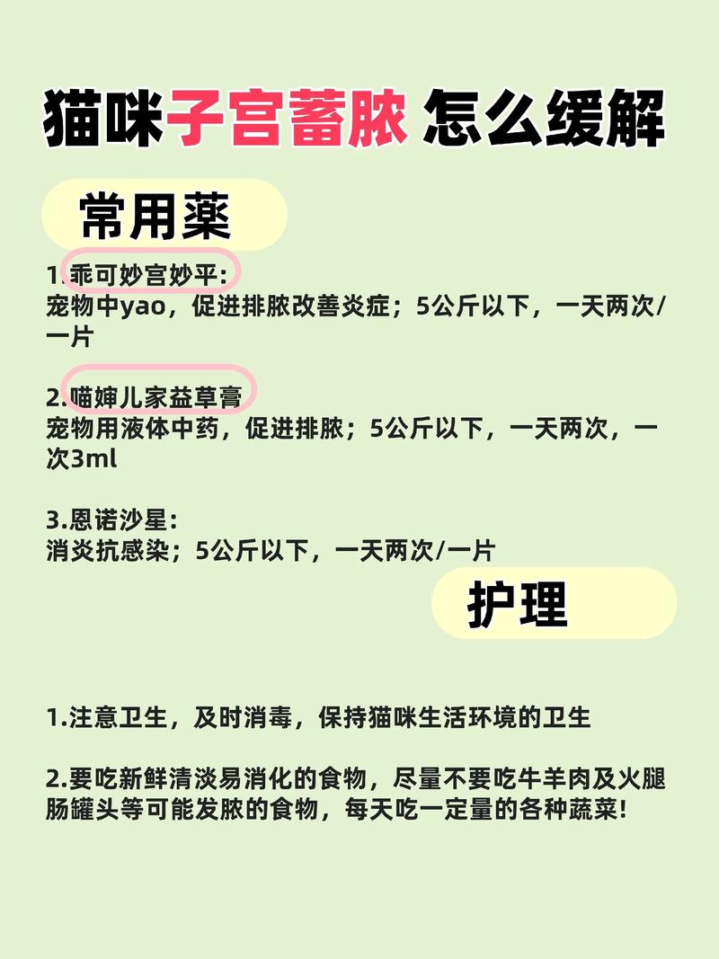  猫咪子宫蓄脓手术费用，猫咪子宫蓄脓摘除子宫多少钱