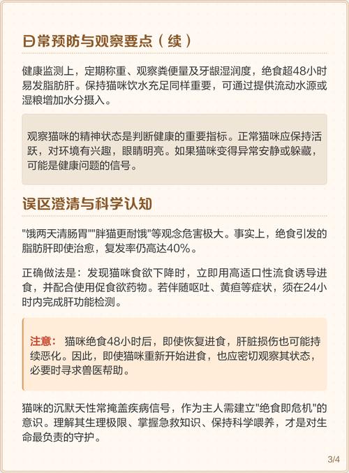 猫咪可以饿多久,猫咪饿多久会听话?-第1张图片-后鲨宠物 猫咪可以饿多久,猫咪饿多久会听话?-第1张图片-后鲨宠物