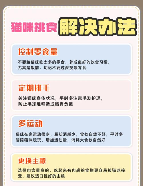 猫咪可以饿多久,猫咪饿多久会听话?-第3张图片-后鲨宠物 猫咪可以饿多久,猫咪饿多久会听话?-第3张图片-后鲨宠物