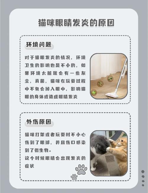 猫咪眼睛红肿怎么办,猫猫眼睛有点红肿-第1张图片-后鲨宠物 猫咪眼睛红肿怎么办,猫猫眼睛有点红肿-第1张图片-后鲨宠物