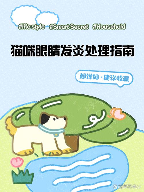 猫咪眼睛红肿怎么办,猫猫眼睛有点红肿-第4张图片-后鲨宠物 猫咪眼睛红肿怎么办,猫猫眼睛有点红肿-第4张图片-后鲨宠物