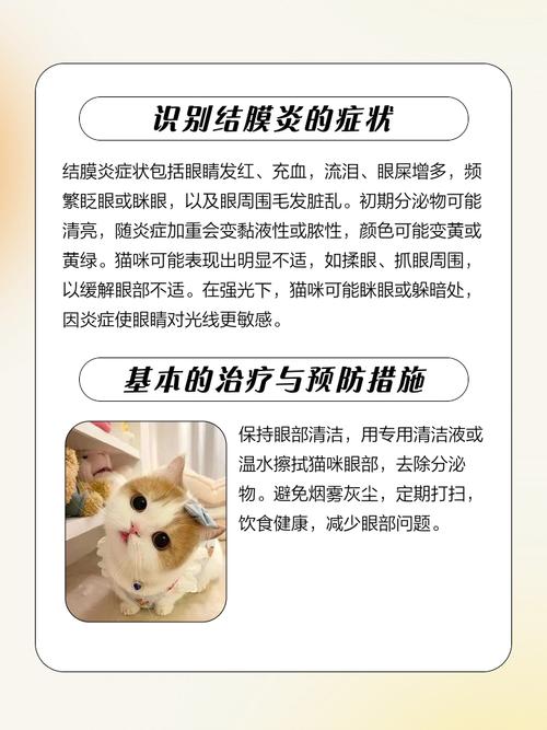 猫咪眼睛红肿怎么办,猫猫眼睛有点红肿-第6张图片-后鲨宠物 猫咪眼睛红肿怎么办,猫猫眼睛有点红肿-第6张图片-后鲨宠物