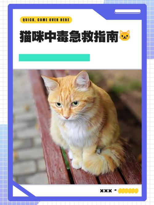 猫咪食物中毒怎么办_猫咪食物中毒是什么症状